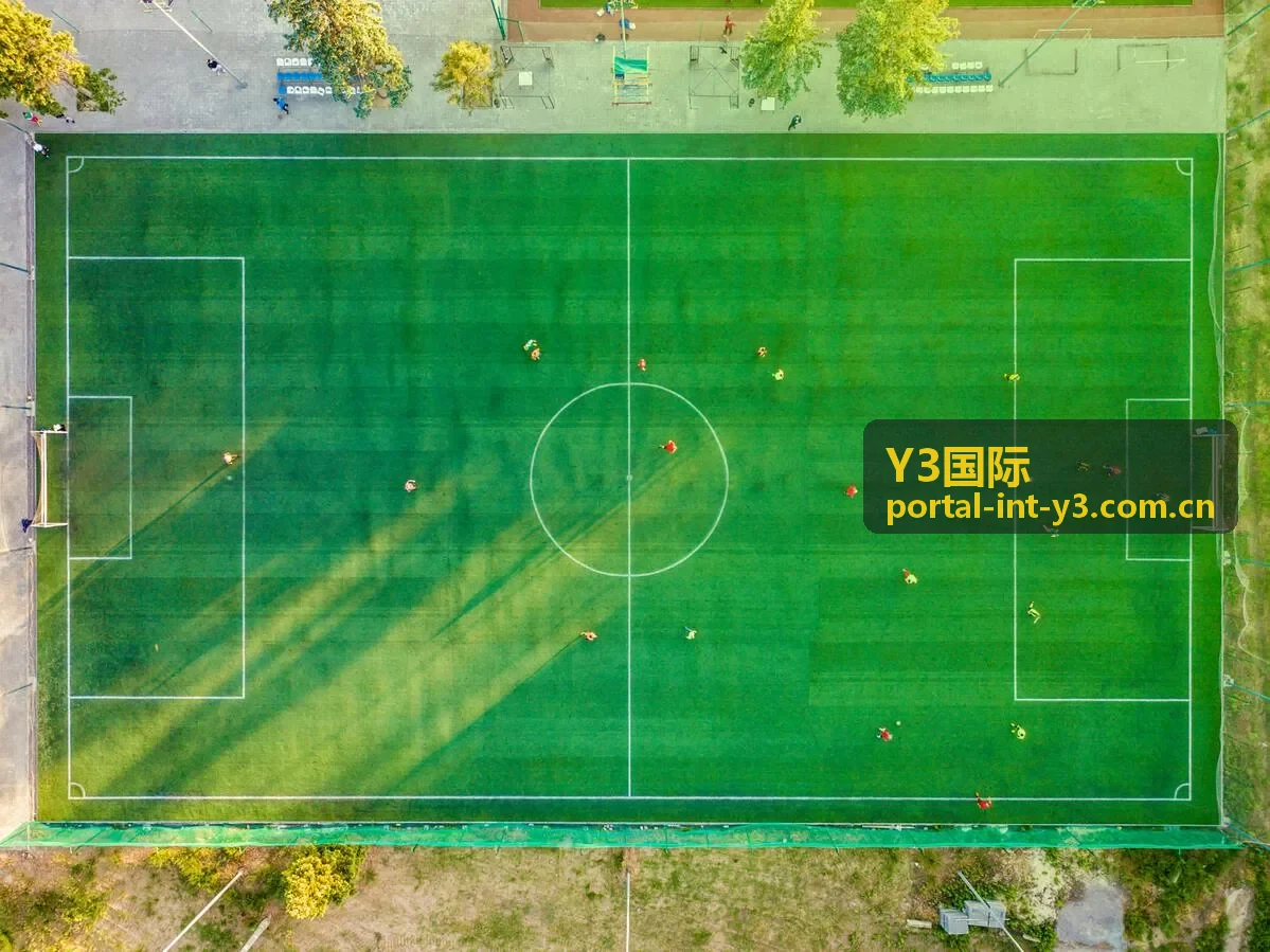 Y3国际工具目录扩展规划